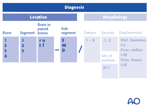 classification of childrens fractures