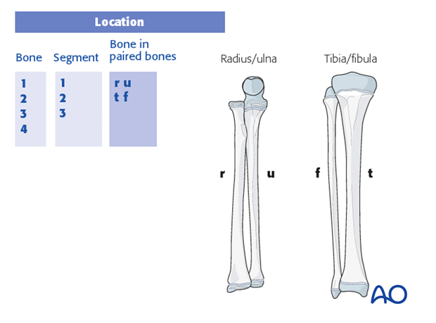 classification of childrens fractures