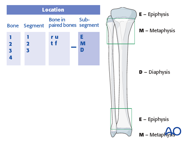 classification of childrens fractures