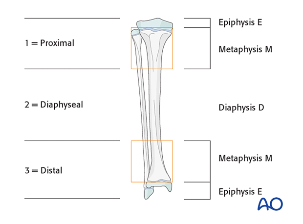 Areas of pediatric bones