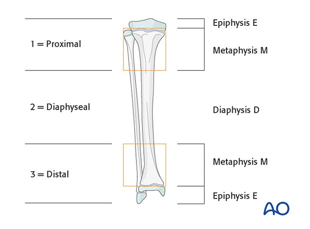 Areas of pediatric bones