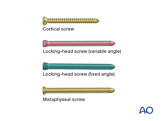 Variety of screw types 