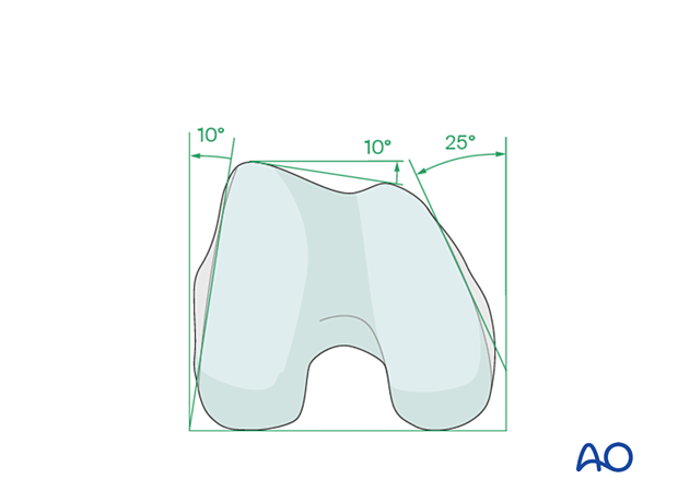 Anatomy of the distal femur