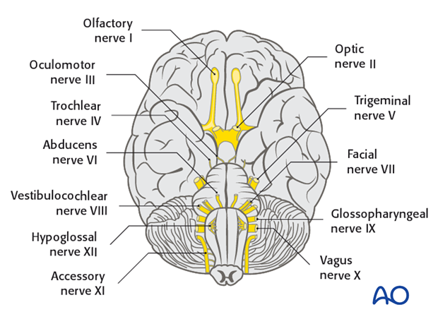 patient examination neurological evaluation