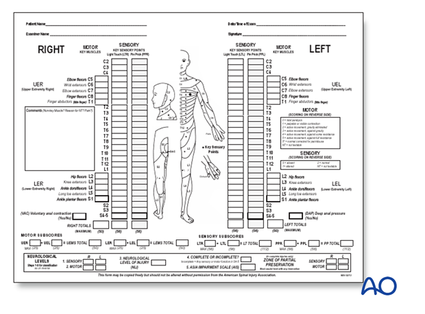 patient examination neurological evaluation