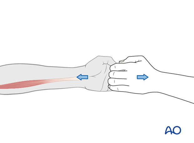 patient examination neurological evaluation