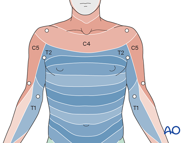 patient examination neurological evaluation