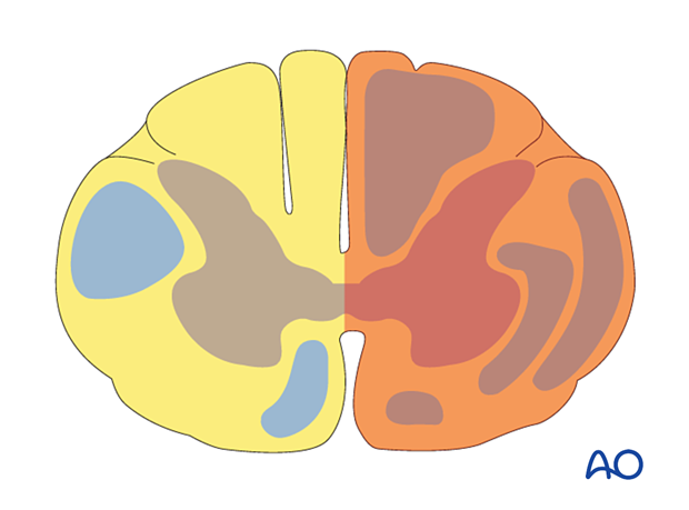 patient examination neurological evaluation