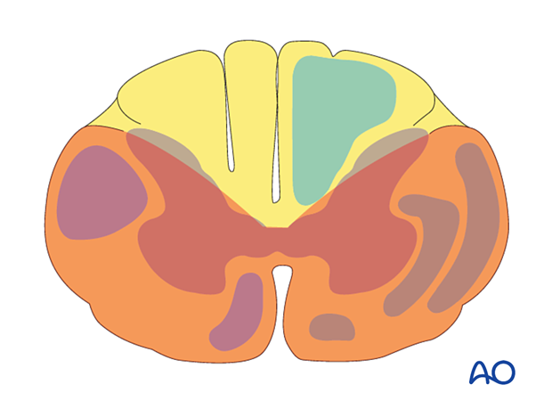 patient examination neurological evaluation