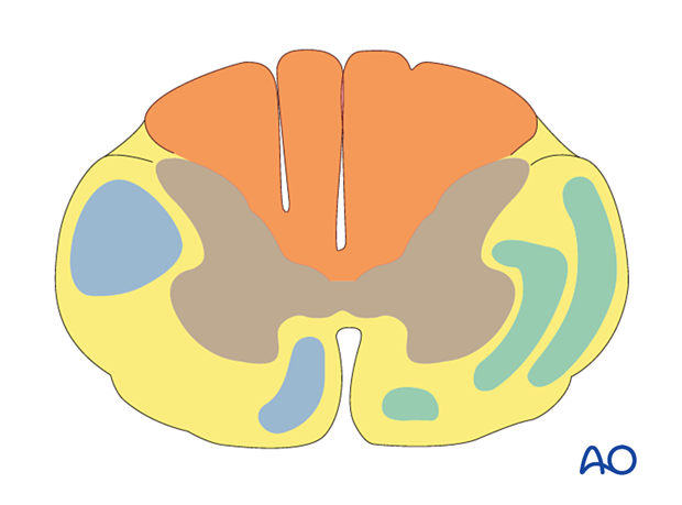 patient examination neurological evaluation