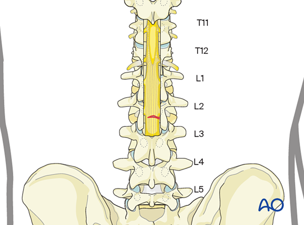 patient examination neurological evaluation