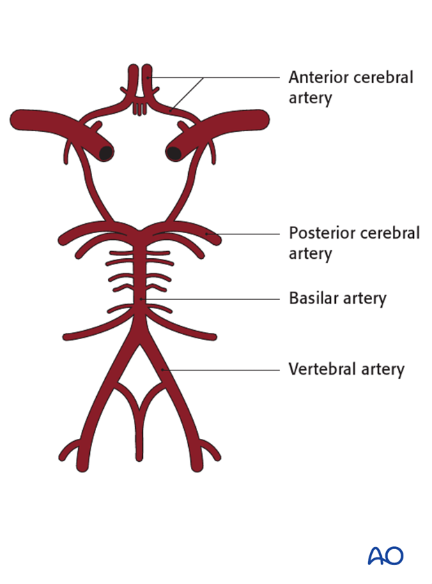 surgical compliations