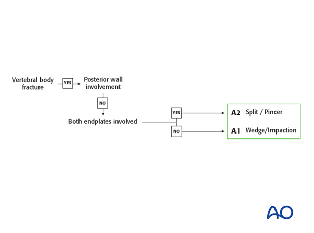 Thoracic and Lumbar Fractures: Rationale for fracture classification