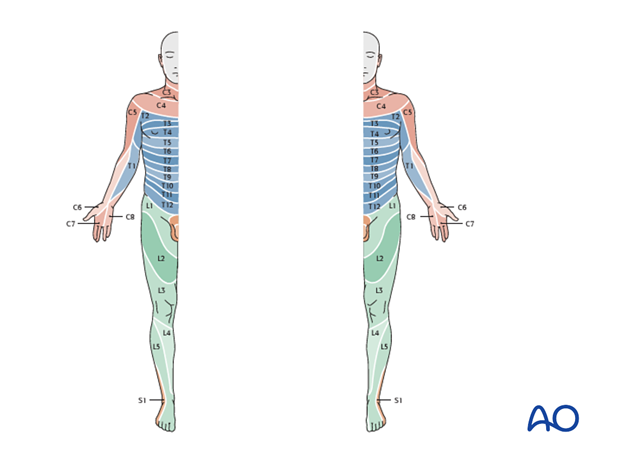 Thoracic and lumbar fractures: Patient examination - neurological evaluation