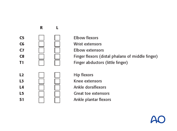 patient examination neurological evaluation