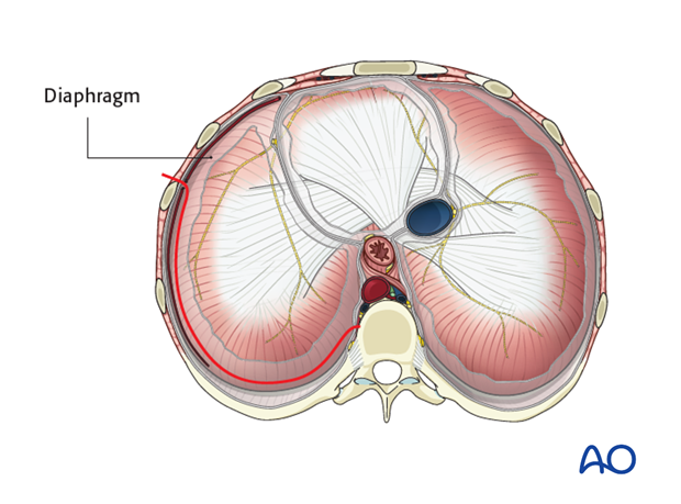 anterior approach to the lumbar spine