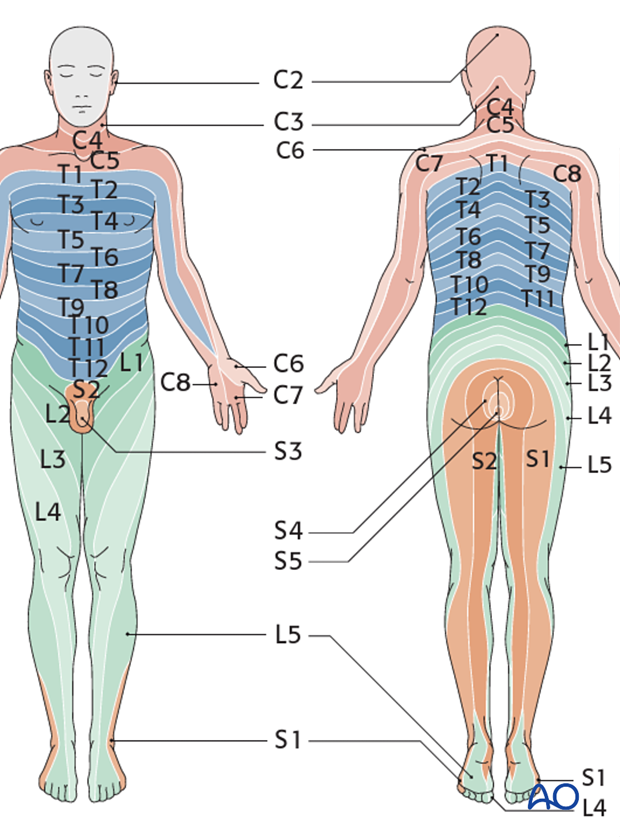 patient examination