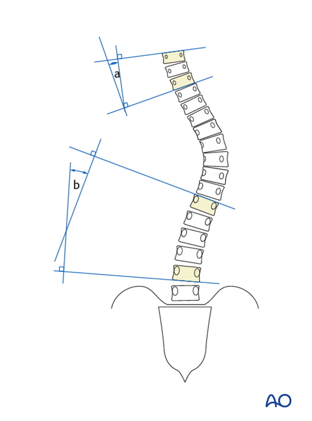 patient examination