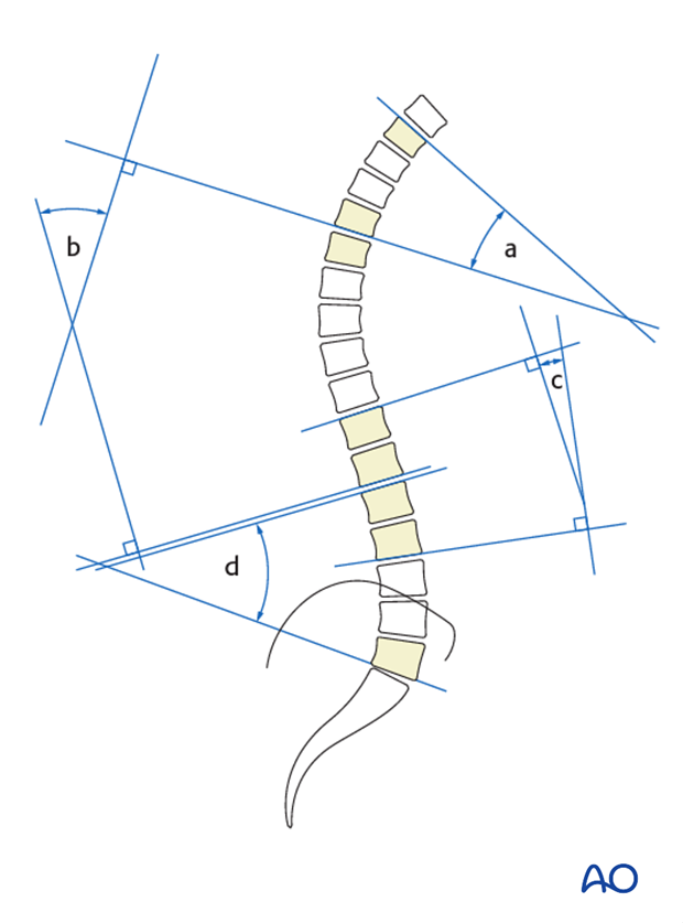 patient examination