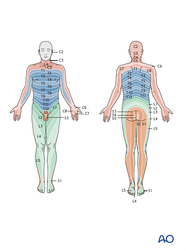 patient examination