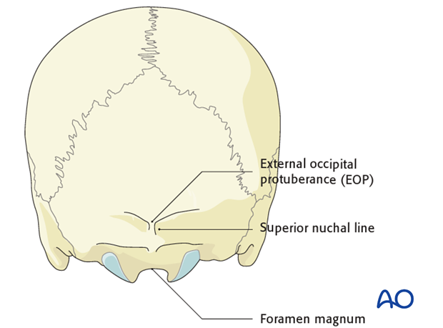 posterior access to the occipitocervical spine