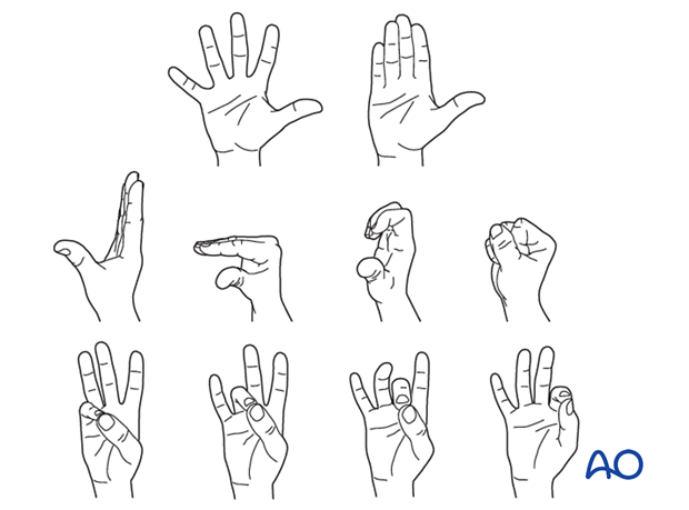 Functional exercises for the hand