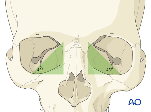 bony anatomy of the orbit