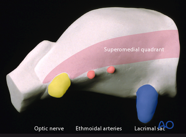 periorbital dissection introduction