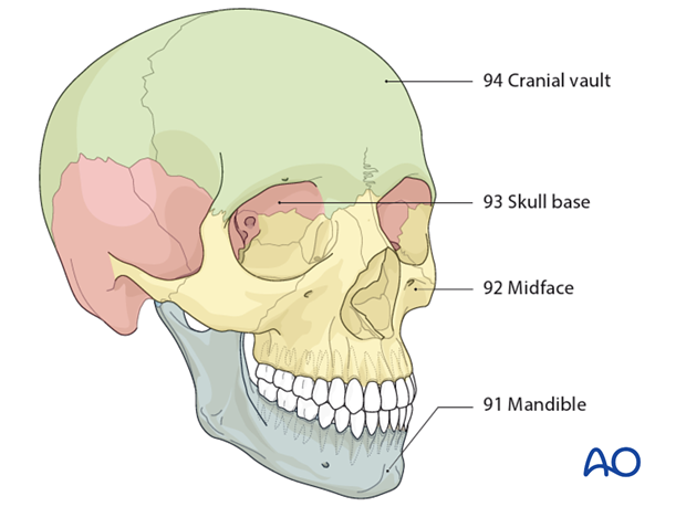 AOCMF Classification Midface (Level 1 and 2)