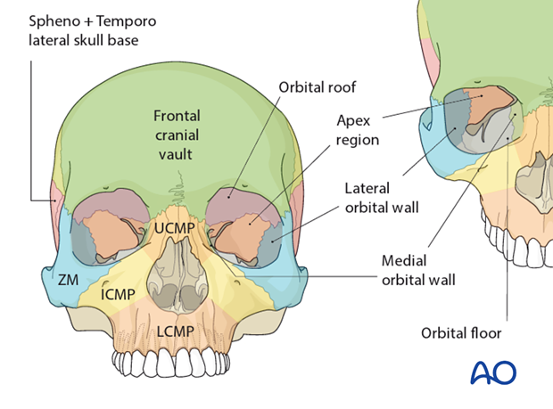 AOCMF Classification Midface (Level 1 and 2)