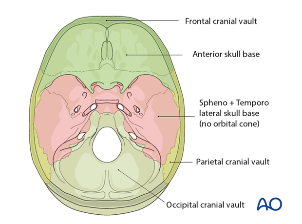 AOCMF Classification Midface (Level 1 and 2)