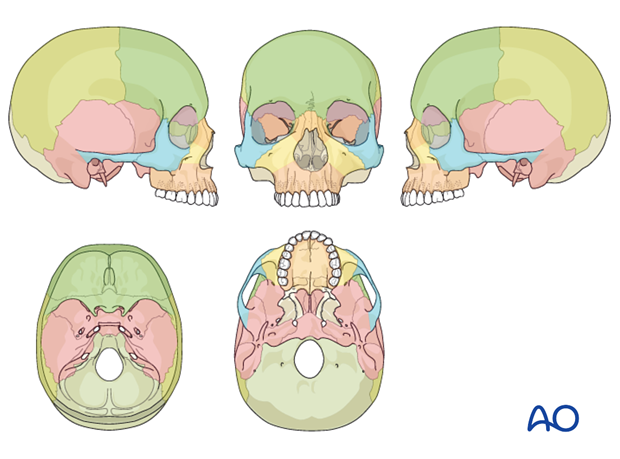 AOCMF Classification Midface (Level 1 and 2)