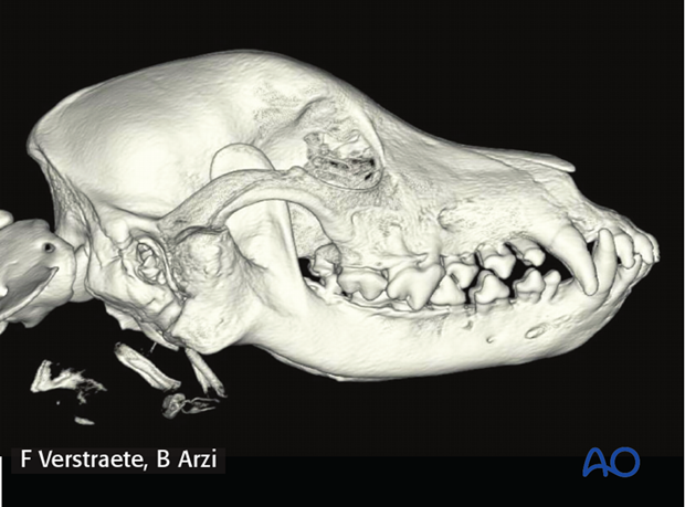 complications with mandible fractures