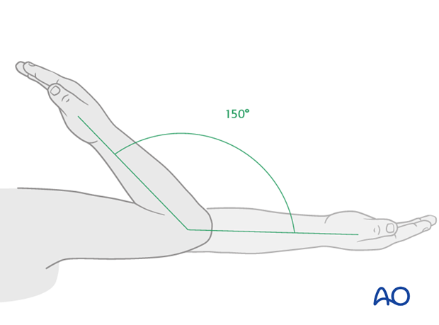 anatomy of the elbow