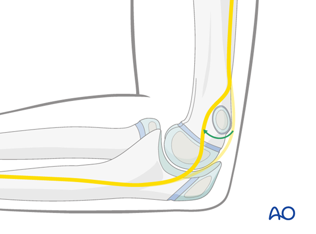 anatomy of the elbow