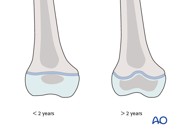 Anatomy of the distal femur