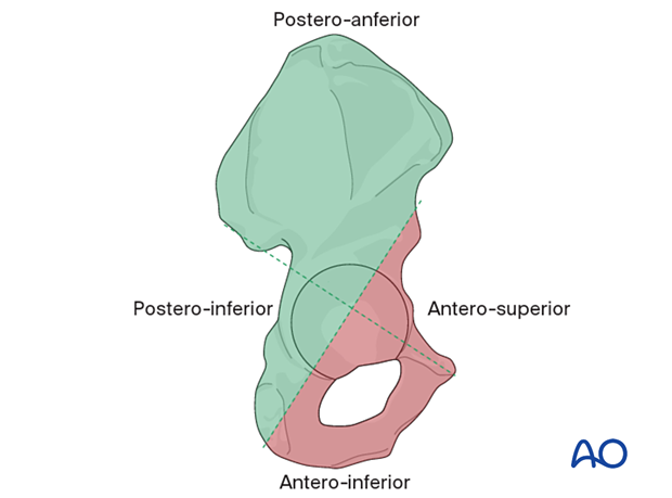 Safe zones for screw implantation