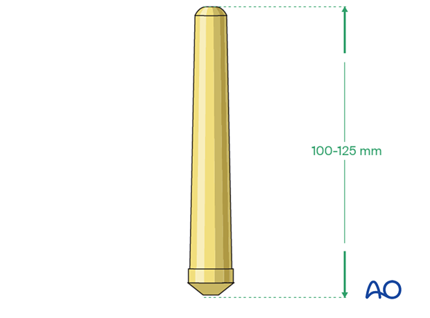 Femoral stem