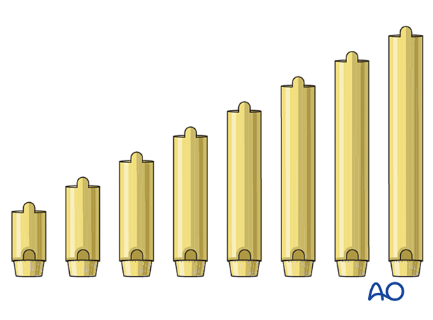 Additional intercalary segments